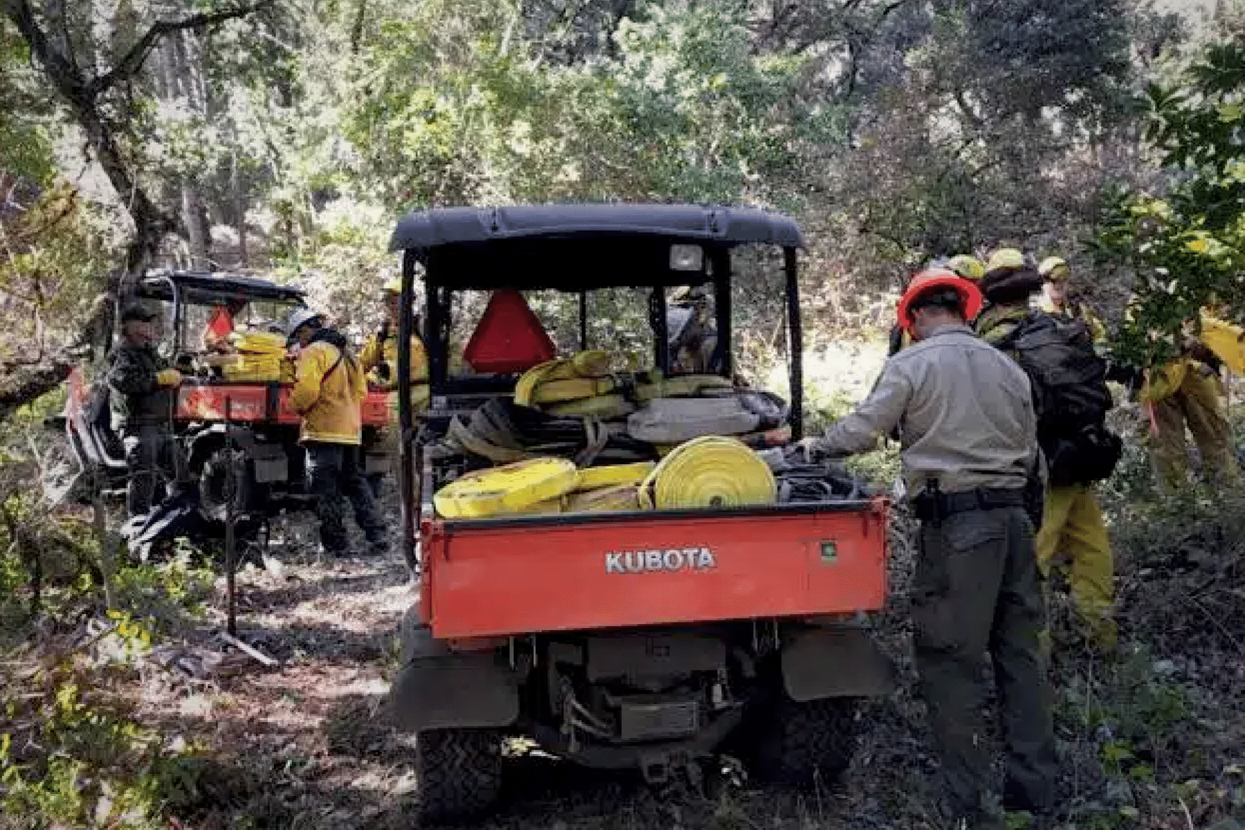 Clearing vegetation helps reduce the risk of wildfire.